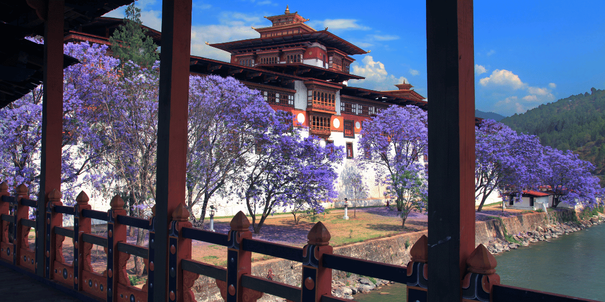 Punakha Dzong Image